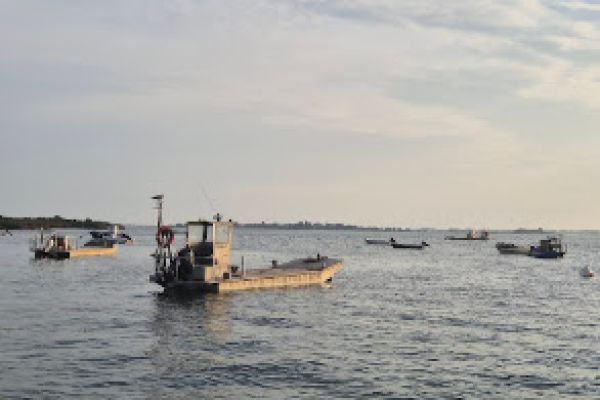 Working oyster barges in the Gulf of Morbihan